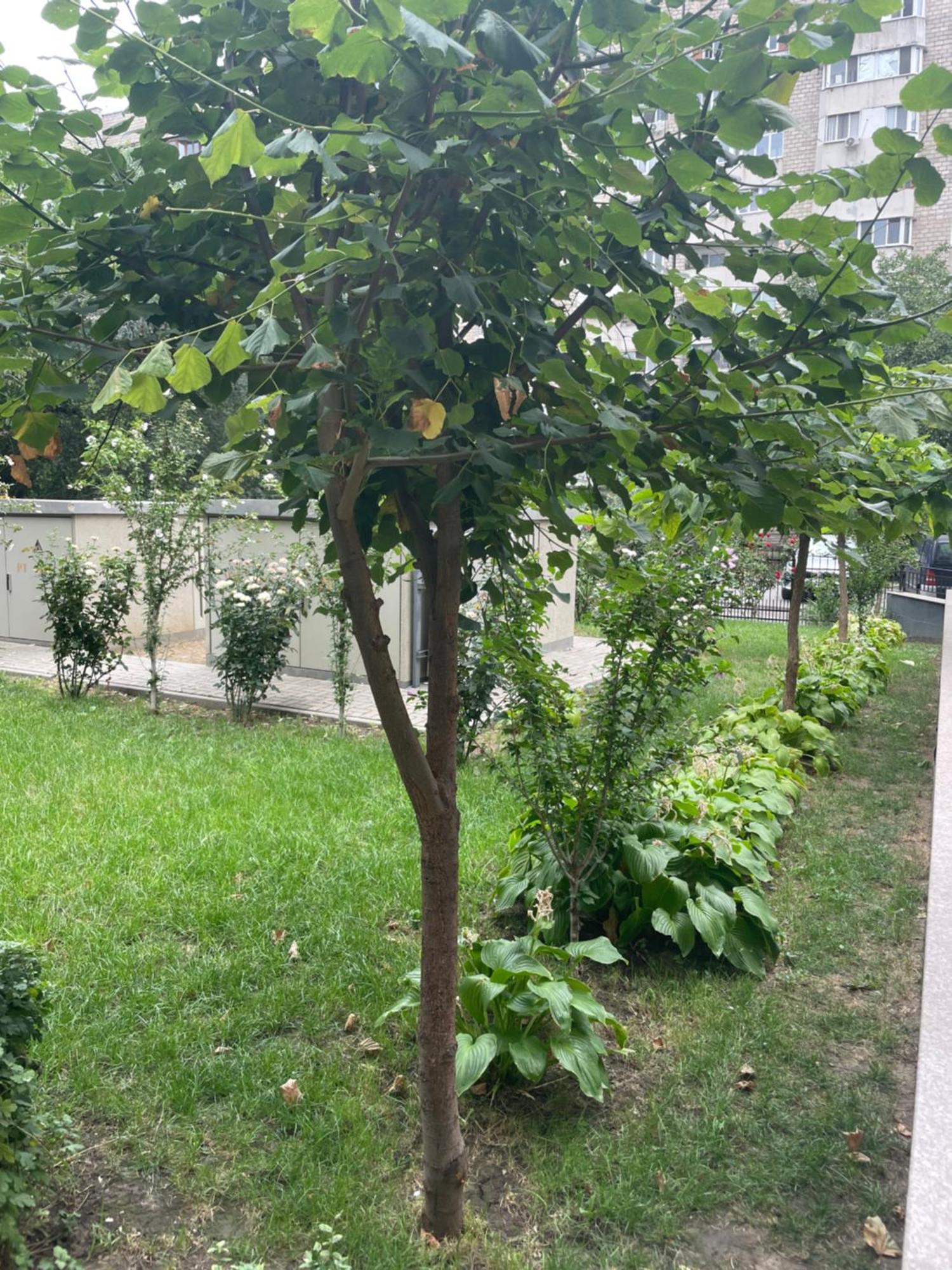 Buiucani Residence Kišiněv Exteriér fotografie
